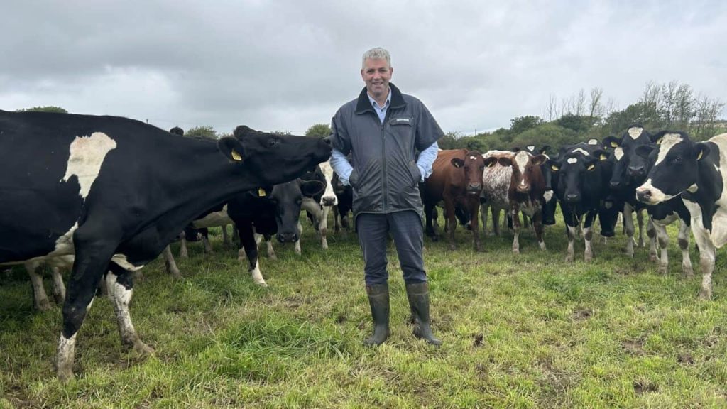 Dairy Focus ‘Milking cows is my therapy’ Senator Lombard