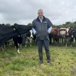 Dairy Focus ‘Milking cows is my therapy’ Senator Lombard