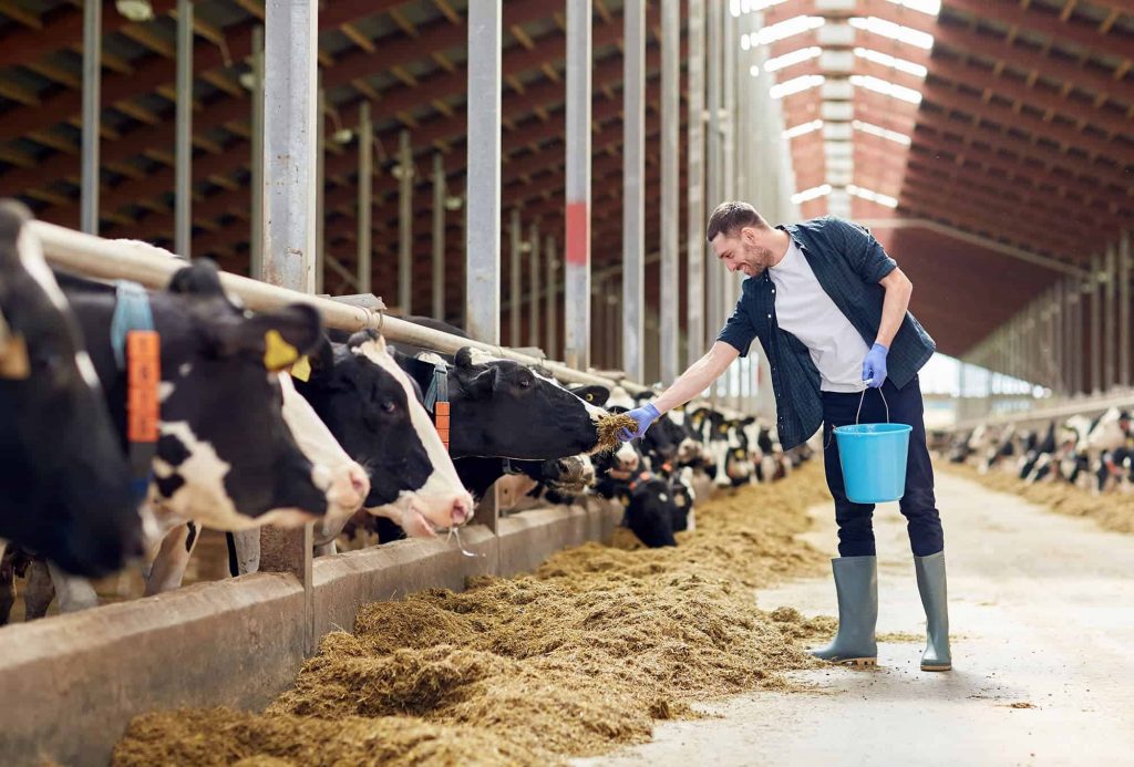 Dairy farmers encouraged to testify at FMMO hearings