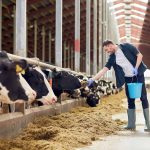 Dairy farmers encouraged to testify at FMMO hearings