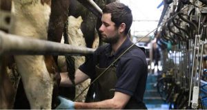 Dairy producers braced for an uncertain future, NFU survey reveals