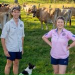 Tommerup's Dairy has survived by diversifying and embracing agritourism.(Supplied: Tommerup's Dairy)