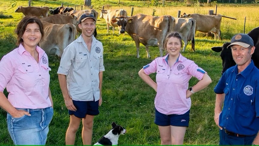 Tommerup's Dairy has survived by diversifying and embracing agritourism.(Supplied: Tommerup's Dairy)