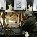 Federal Milk Marketing Order hearings begin