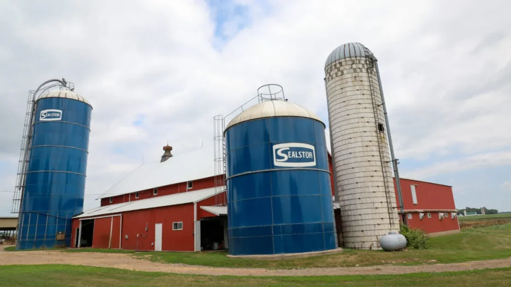 From Cow to Carton Lessons Learned on a Dairy Farm