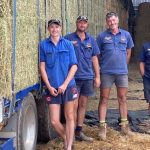 Hay growers rewarded after tough season