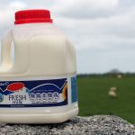 IRISH DAIRY INDUSTRY PRODUCING MILK “BELOW THE COST OF PRODUCTION,” SAYS ICMSA