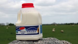 IRISH DAIRY INDUSTRY PRODUCING MILK “BELOW THE COST OF PRODUCTION,” SAYS ICMSA