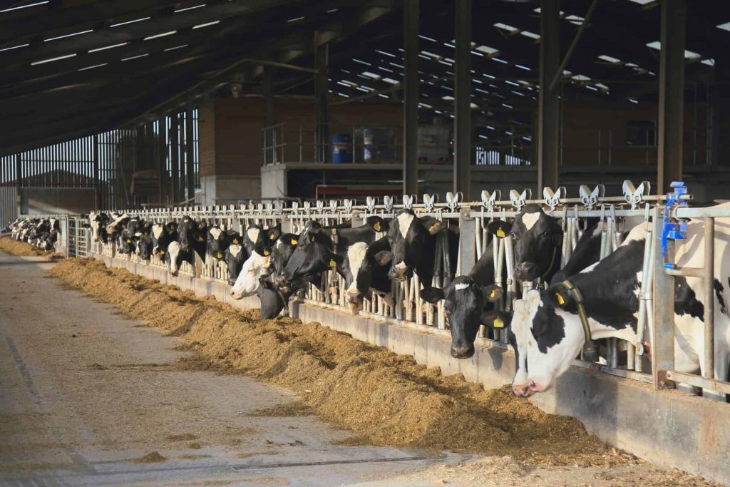 New significant dairy regulation takes effect with governor’s signature in Oregon