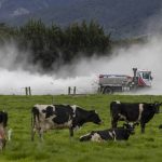 Only half of dairy farmers reported fertiliser use by the July deadline