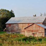 Ontario’s Dairy Farmer Training Program to Flow Through Guelph’s Ridgetown Campus