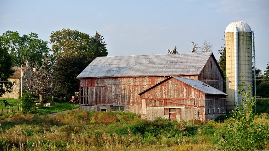 Ontario’s Dairy Farmer Training Program to Flow Through Guelph’s Ridgetown Campus