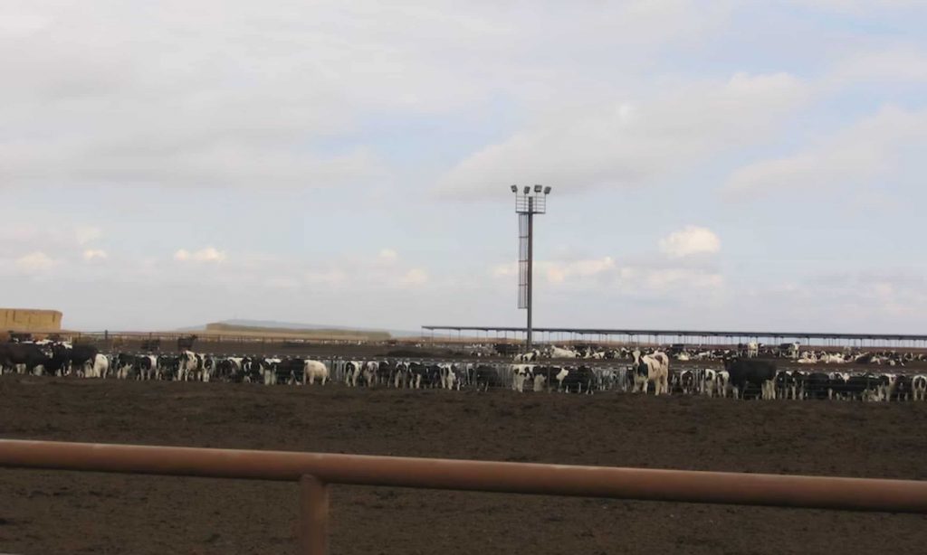 Oregon’s new SB 85 will further regulate water use on big livestock operations