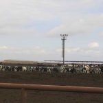 Oregon’s new SB 85 will further regulate water use on big livestock operations