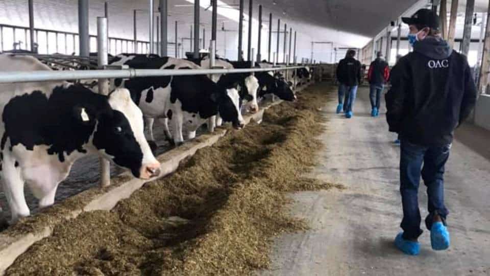 Province investing in training more dairy farmers