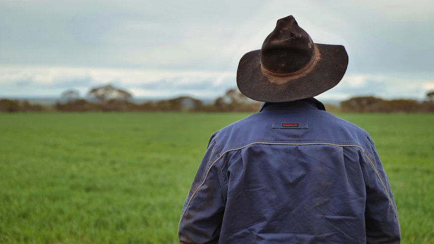 Rural mental health services see spike in people reaching out as farmers come under more pressure