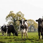 Shropshire dairy farms under threat, survey reveals