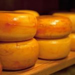 Production: Starter culture that speeds up cheese maturation 'performs better' than commercial alternatives