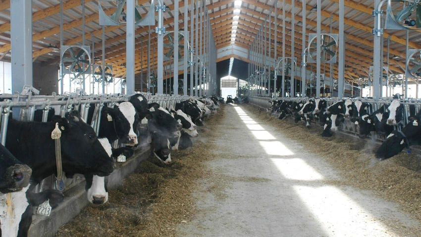 Tighter milk supply sends prices climbing