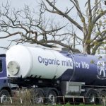 UK dairy co-op Omsco rebrands as Organic Herd