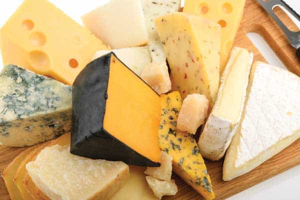 cheese yield prediction for efficiency improvement in processing