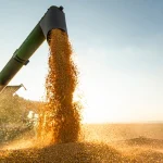 3 market items to watch as harvest begins