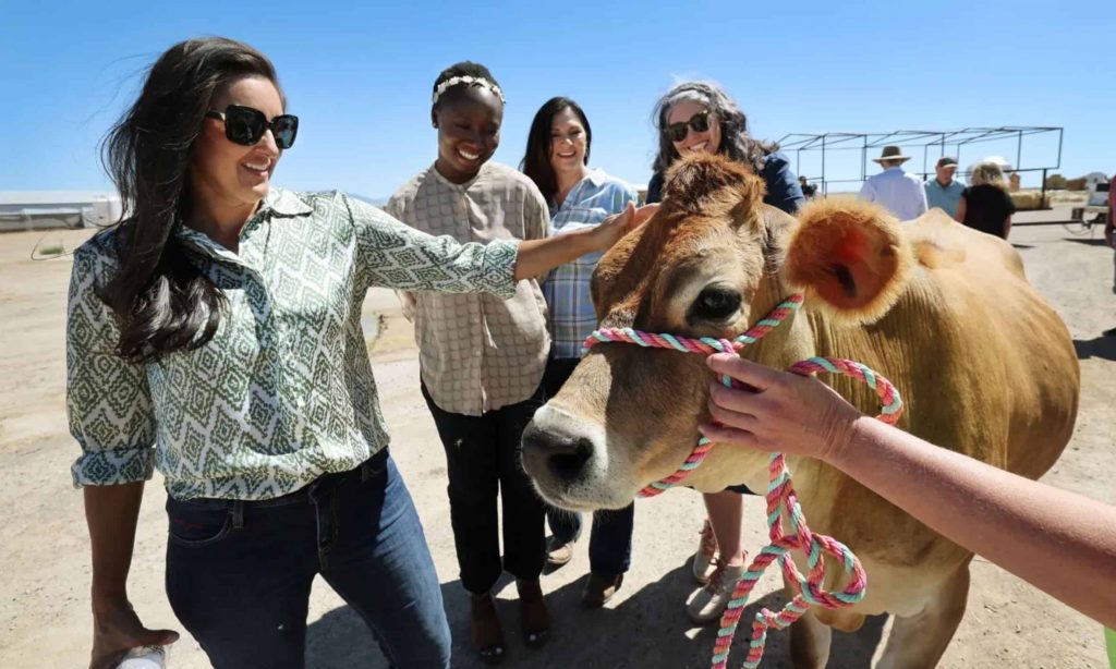 A Utah water cycle: Water, milk and 2,973 Chick-fil-A restaurants