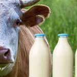 China's online milk revenue rose 19% in the last year, but most brands saw their revenue contract