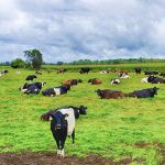 Concern about the economic impact of land-use changes in our farming sector