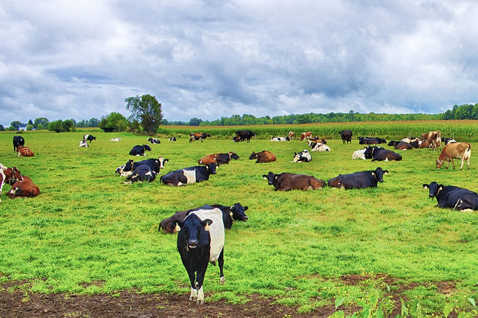 Concern about the economic impact of land-use changes in our farming sector