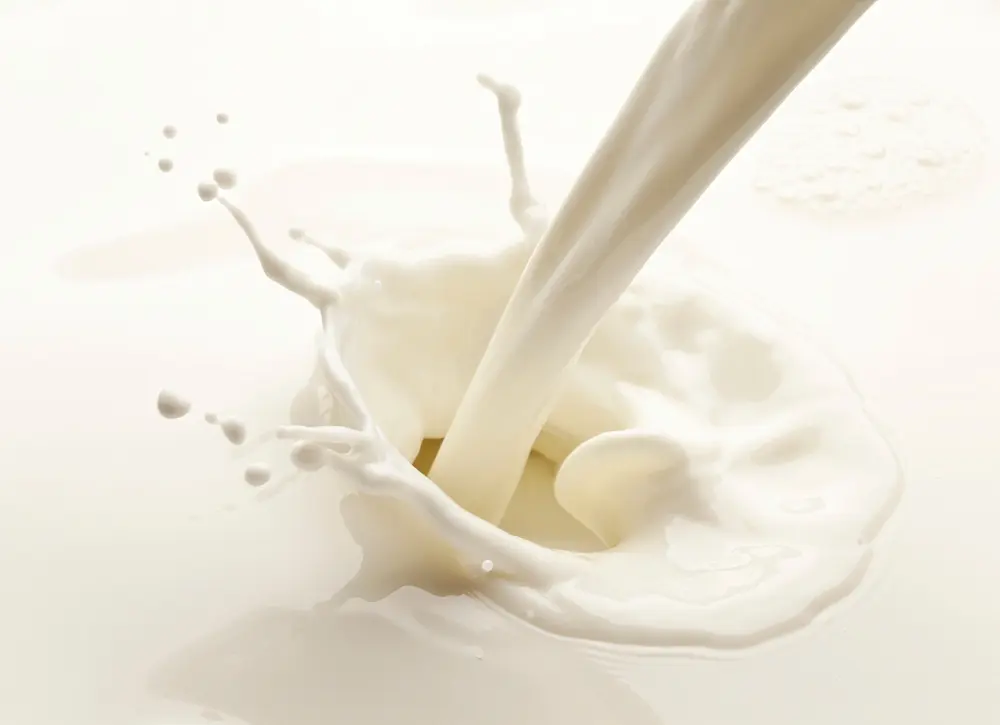 DSM and Fonterra’s Vivici joint venture uses precision fermentation to create animal-free dairy protein