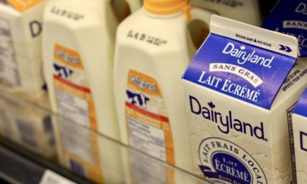 Dairy Farmers of Canada wants review of New Zealand's dairy policy following CPTPP dispute panel decision