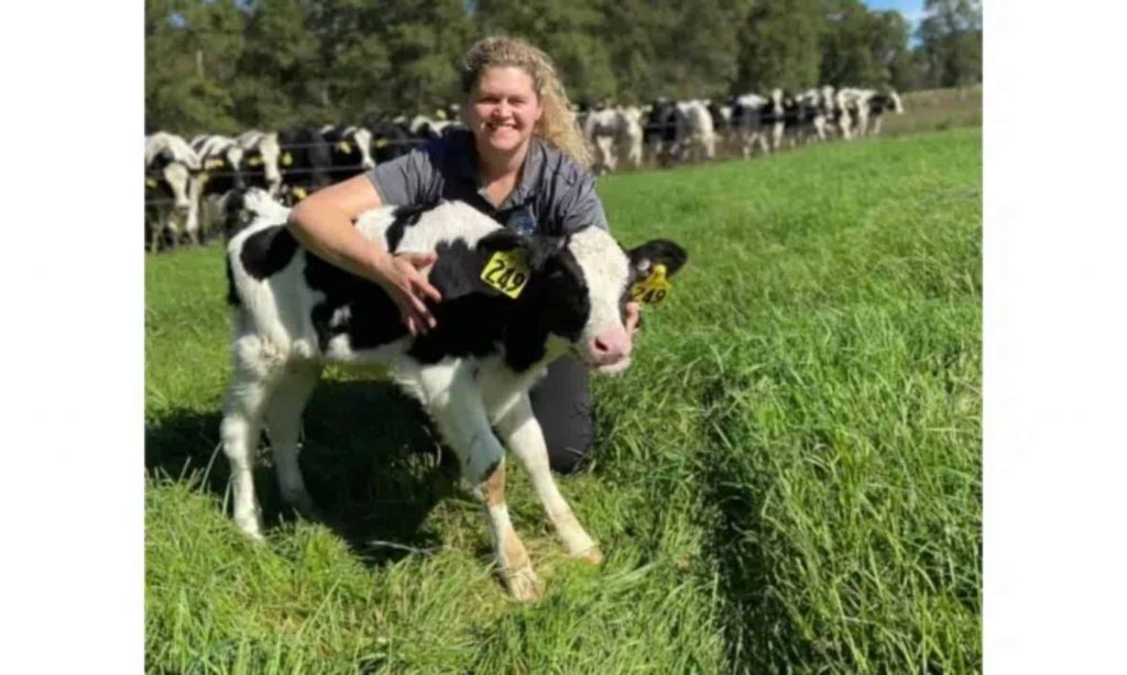 Dairy en Español - Virtual Farm Tour