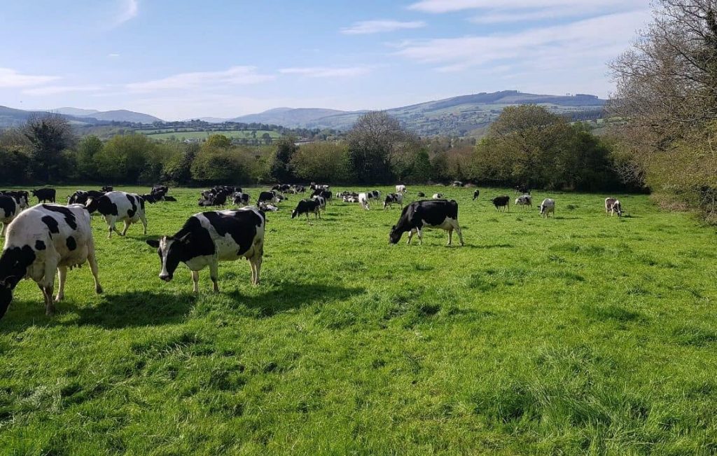 Dairy farmers face ‘large drop in income’ warns Arthur