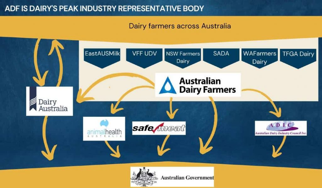 Dairy voice eyes reset