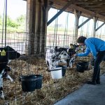 Gov. Hochul announces over $6 million in grants to protect farmland