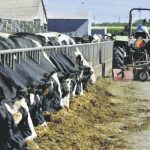 July dairy margin another record low