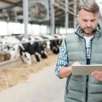 Local Dairy Checkoff Seeks Independent Producers for Board of Directors