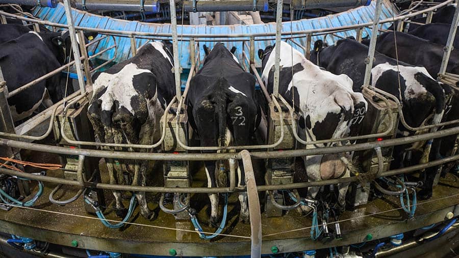 Low milk prices eat into dairy farmer margins