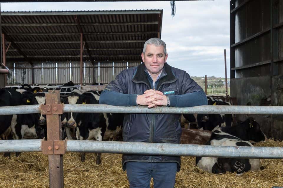 McConalogue should explore flexibility on derogation for farmers outside nitrates ‘red zones’