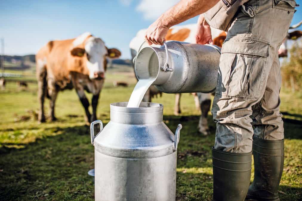 Milk now tops county’s Ag production output.