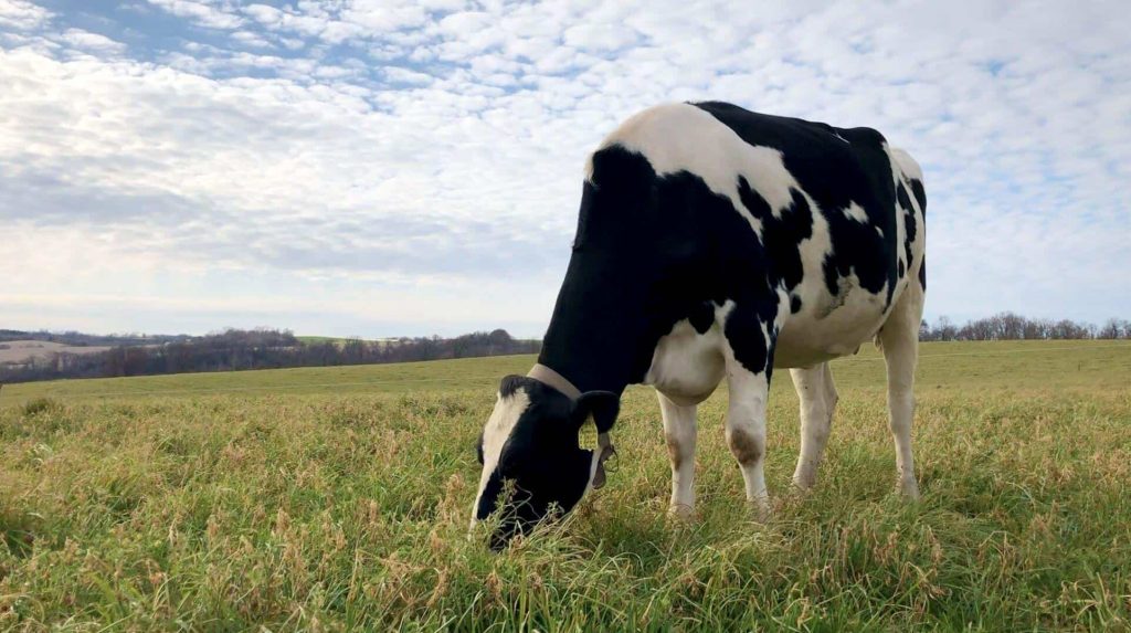 Minneapolis Star Tribune New strategy can help small farmers and rural communities