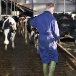 New Zealand wins trade dispute with Canada over dairy access