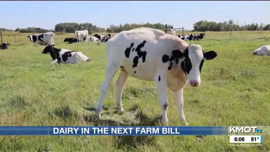 Projections of dairy in this year’s Farm Bill