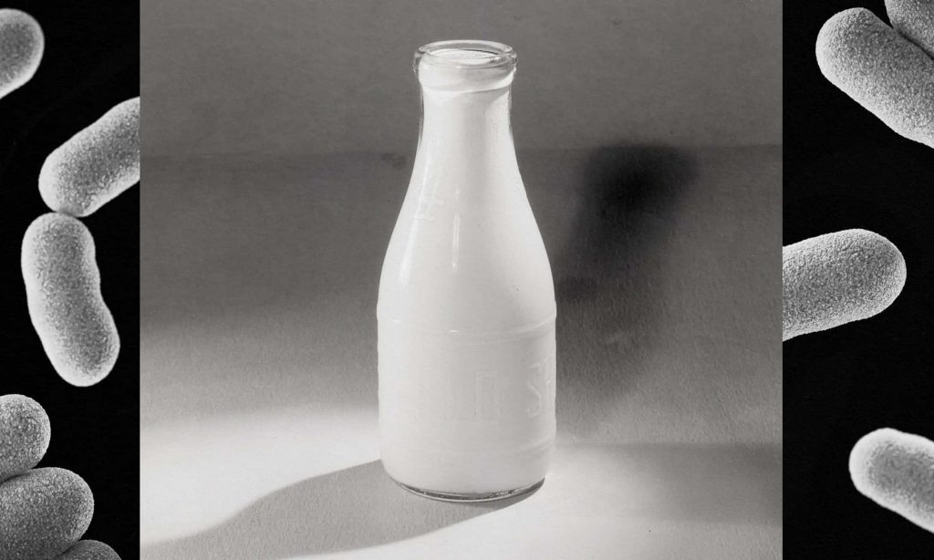 The 19th-century milk scandal that killed thousands of babies