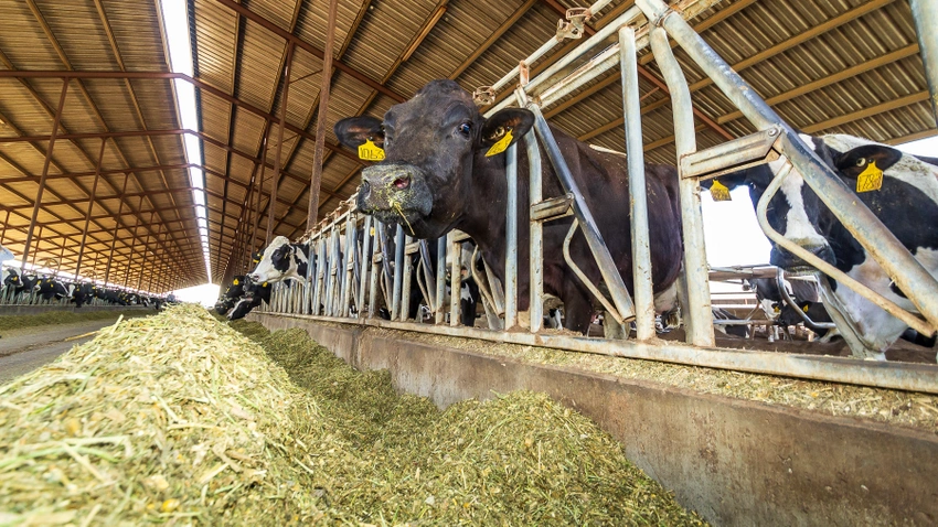 Tulare County dairy farmers grossed over $2.67 billion from the sale of their milk to processing plants in 2022. This pushed the county’s gross agricultural output to a record $8.61 billion on the year, and the highest ever recorded for any county in the United States.