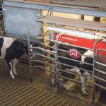 What is in store for future milk pricing