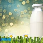 Raw Milk vs. Pasteurized Milk: Food Freedom or Sanitary Recklessness?