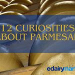 Parmesan: Know 12 Incredible Curiosities