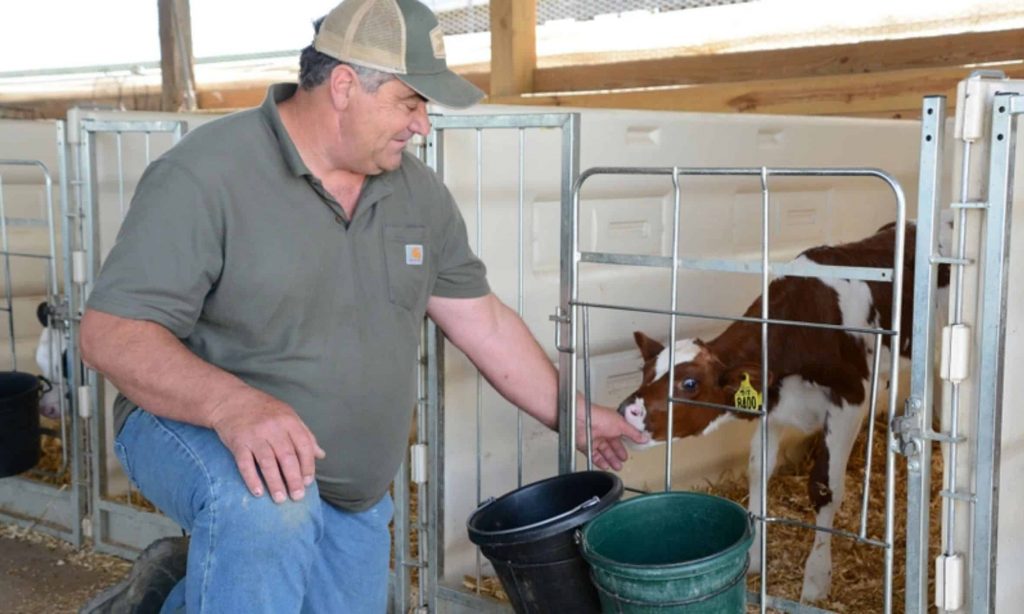 A dairy built with joy and hard work